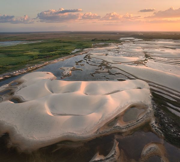 Nature "Mask" thumbnail