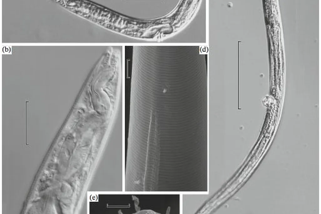 frozen-nematode-2.jpeg