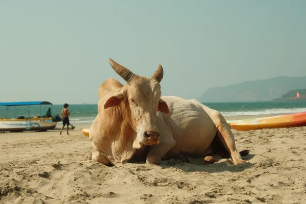 Sacred stillness thumbnail