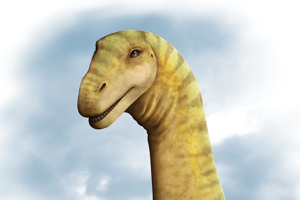 head of a long-necked dinosaur