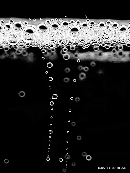The Science Behind Champagne Bubbles