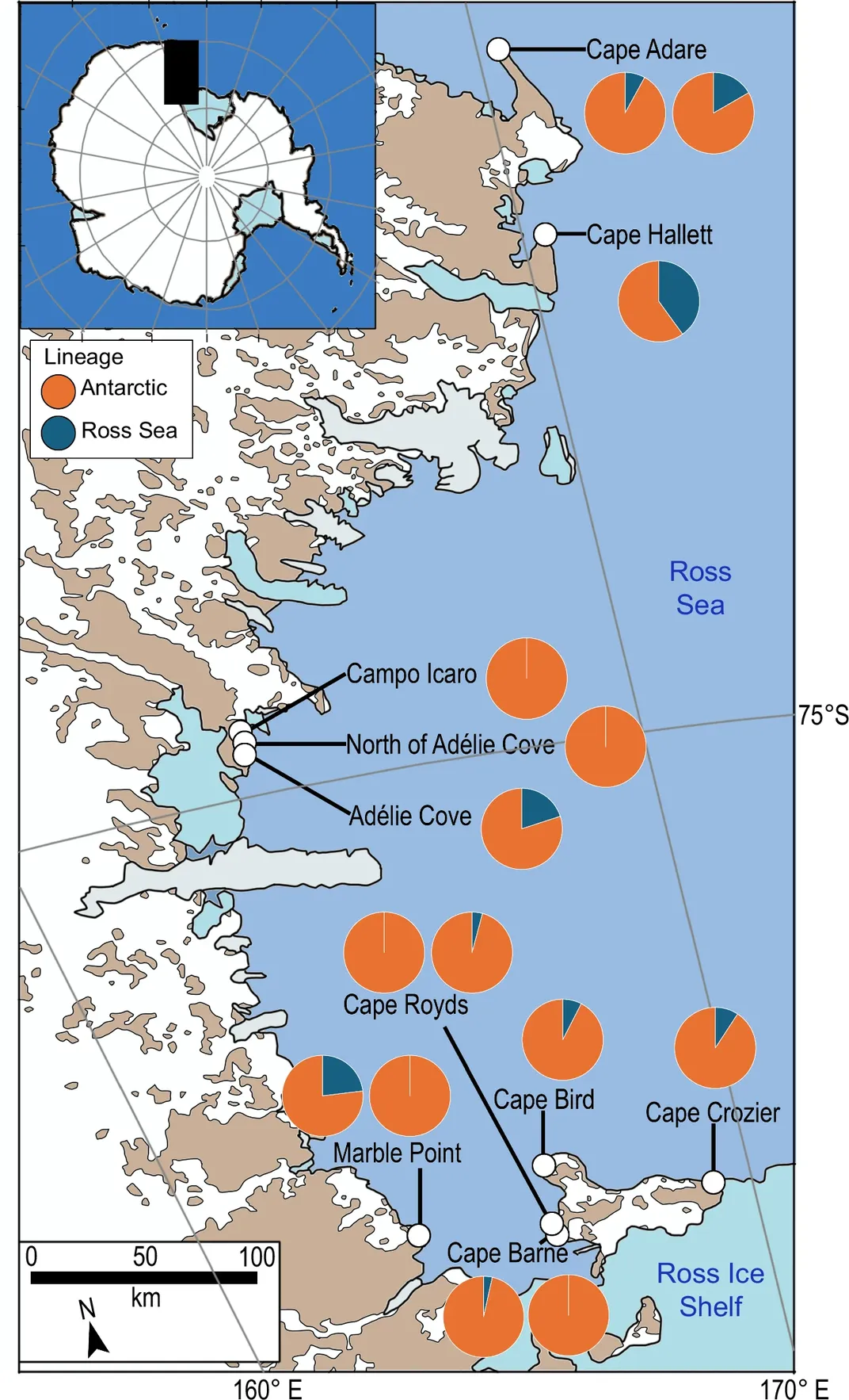 Map showing penguin colonies on Antarctica coastline