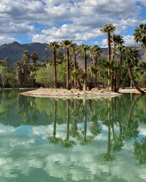 An oasis in the desert near Tucson, Arizona. thumbnail