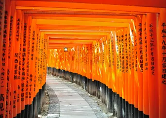 Japan for Families: A Tailor-Made Journey description