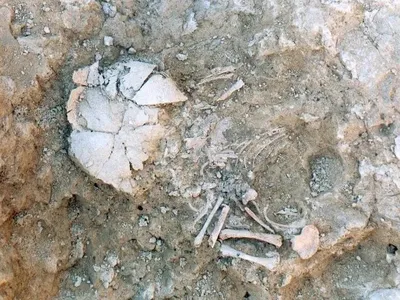 Remains of a stillborn infant with Down syndrome from the Iron Age, found in a 2,800-year-old house at the Las Eretas archaeological site in Spain.