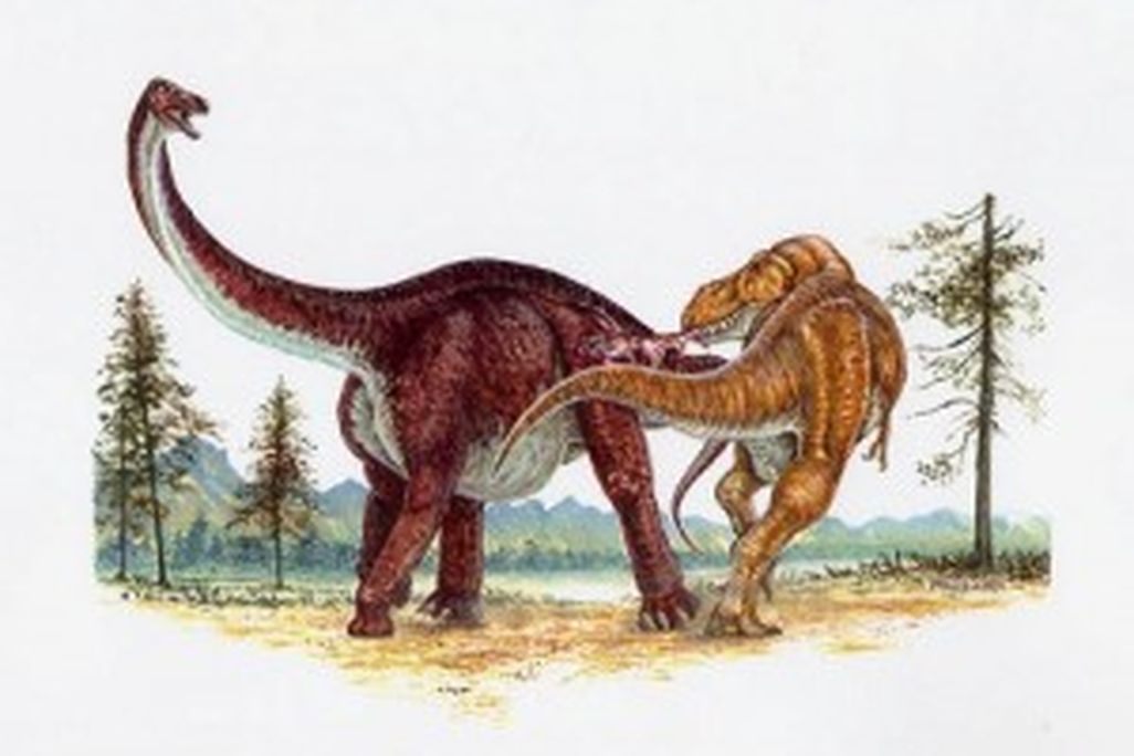 20110520083123tyrannosaurus-alamosaurus-skrepnick-painting-300x226.jpg