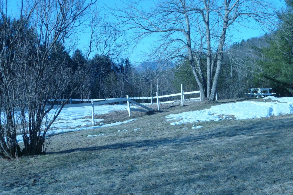20110520090235P1010037.jpg