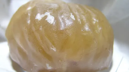 Sometimes you feel like a nut...