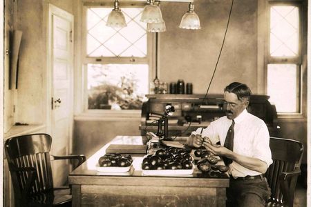 Harry Hall, Campbell's chief agricultural expert, inspects tomatoes in his office at Campbell's research farm in Cinnaminson, New Jersey sometime in the 1920s.