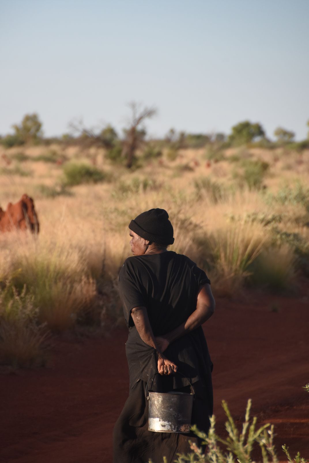 Australia's Western Desert Art Movement Turns 50