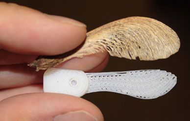 An early plastic mockup of the Nano Air Vehicle is about the size and shape of a maple seed.