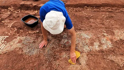A Metal Detectorist Discovered Tiny Tiles in a Farmer's Field. A Spectacular Ancient Roman Mosaic Was Buried Beneath the Surface