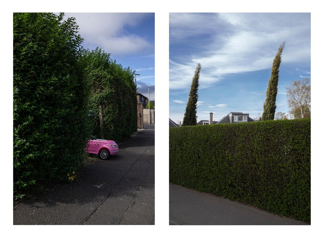 Hedge with child's toy; two cypress trees