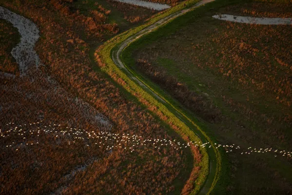 Echoes in the Sky thumbnail