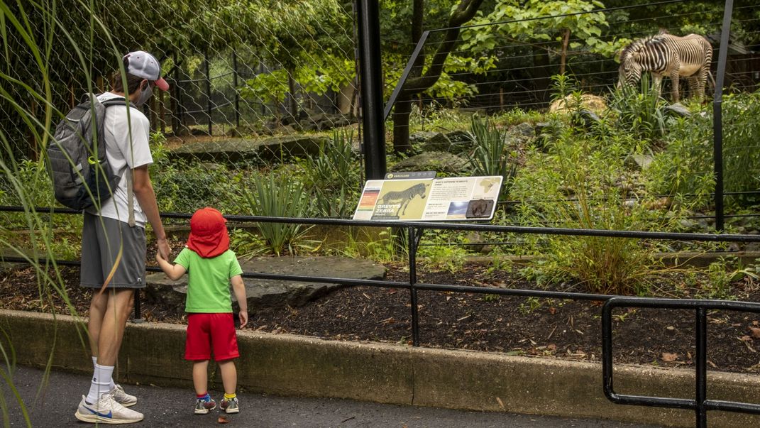 Visitor at Zoo