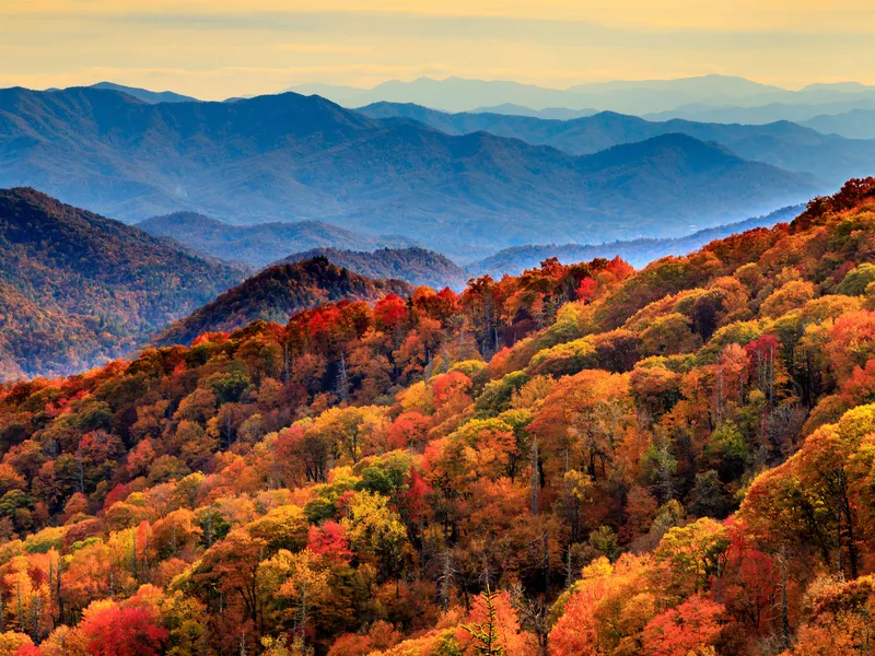 The Great Smoky Mountains in the Fall Smithsonian Photo Contest