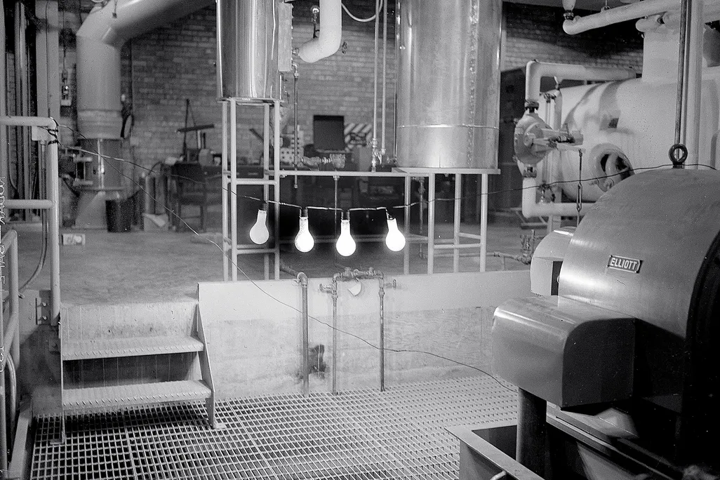 Four illuminated lightbulbs