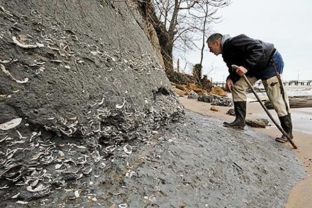 A fossil collector since childhood, Bob Hazen has come up with new scenarios for life's beginnings on earth billions of years ago.