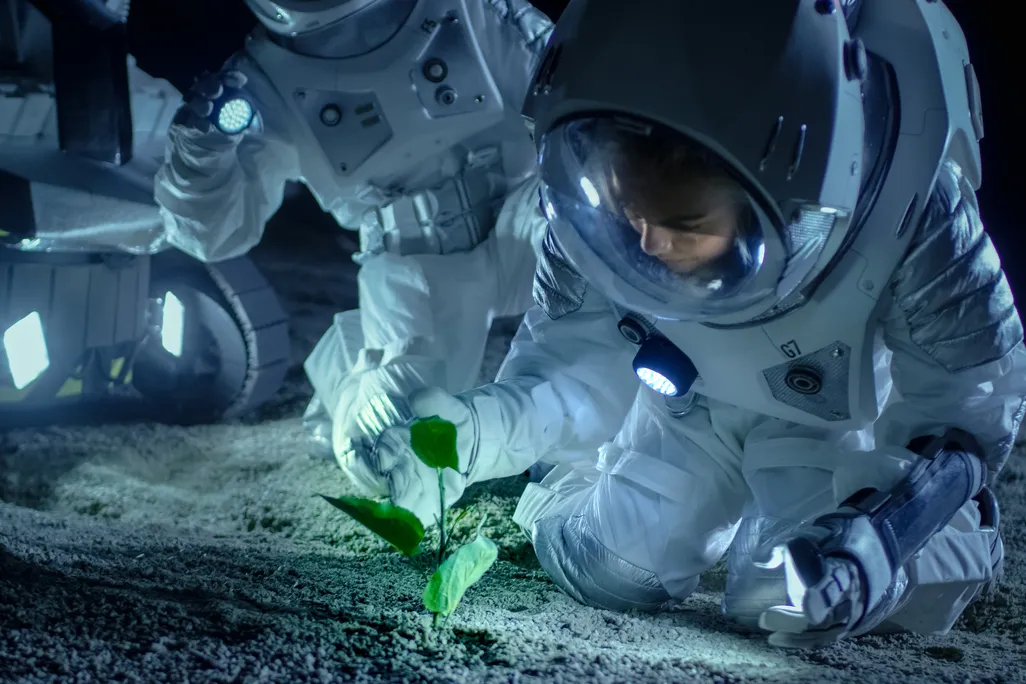 astronaut looks at healthy plant sprouting out of the ground on the Moon