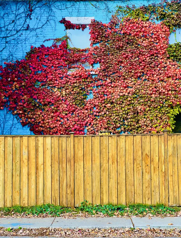 Behind the Parking Lot on Augusta Street, Toronto thumbnail