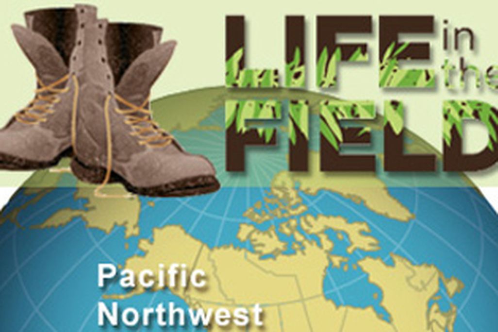 Frozen_LifeintheField_388.jpg