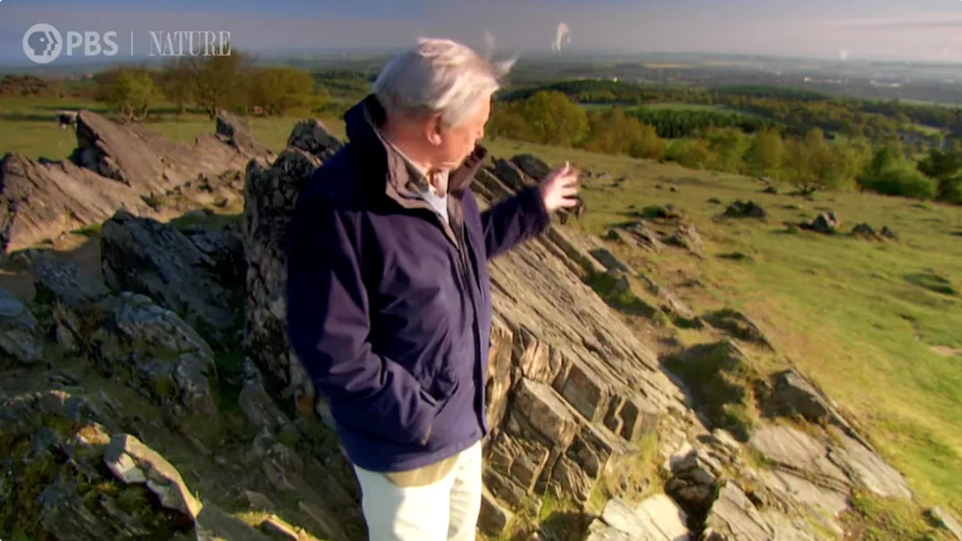 David Attenborough on a hill overlooking a green landscape in a documentary still