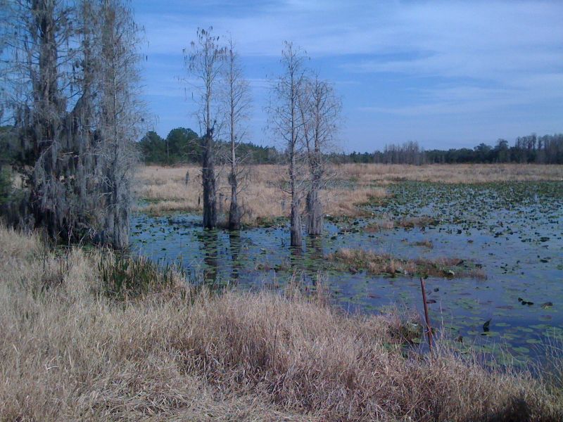 Mud Lake Smithsonian Photo Contest Smithsonian Magazine