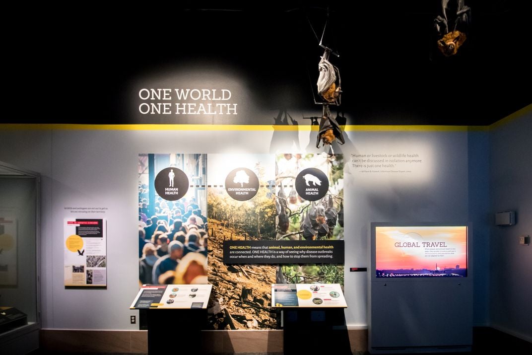 A display on the "One Health" concept in an exhibition about pandemics at the Smithsonian's National Museum of Natural History