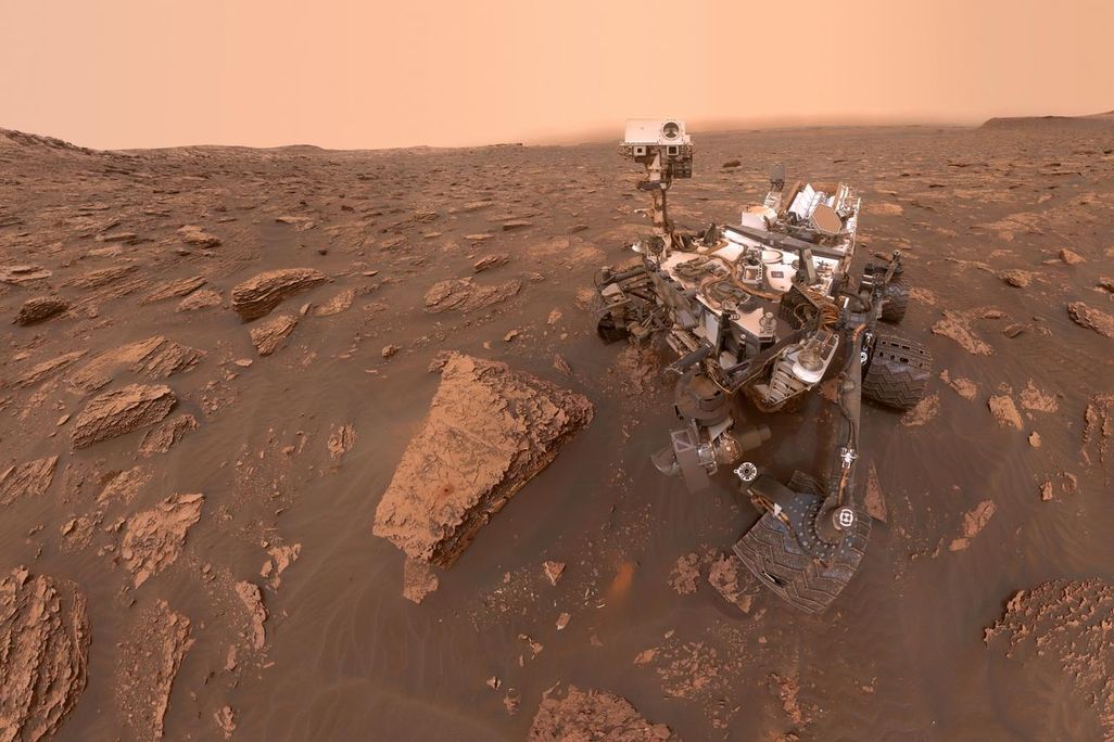 Curiosity selfie