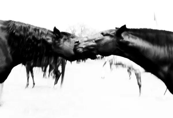 colliding souls thumbnail