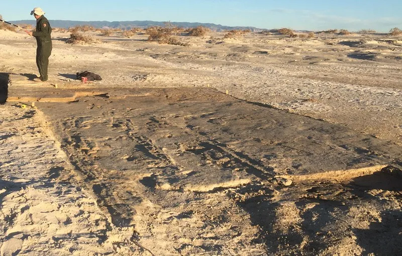 Track marks on the ground