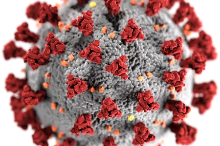 An up-close look at SARS-CoV-2 virus, which causes the COVID-19 disease