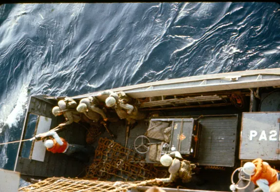 “Looking down the nets toward the boats.”