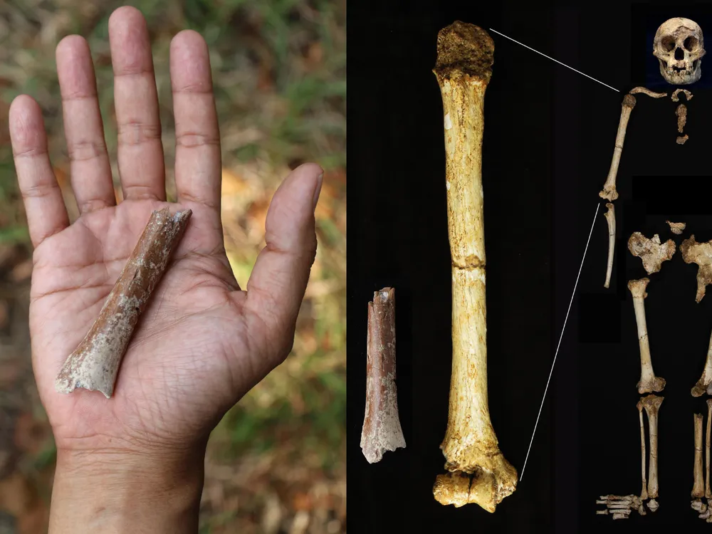 Two images side by side, one showing a bone fragment in a person's hand, the other showing bones against a black background