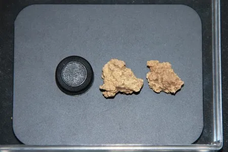 The chunks of cheese were found alongside ancient mummies in China in 2003.