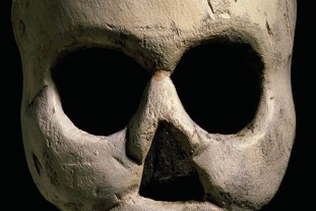 20110520110636skull_AAM.jpg