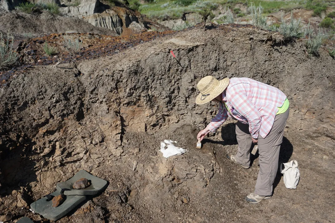 Want to Dig For Dinosaur Bones? Join the Pros at These Spots | Travel|  Smithsonian Magazine