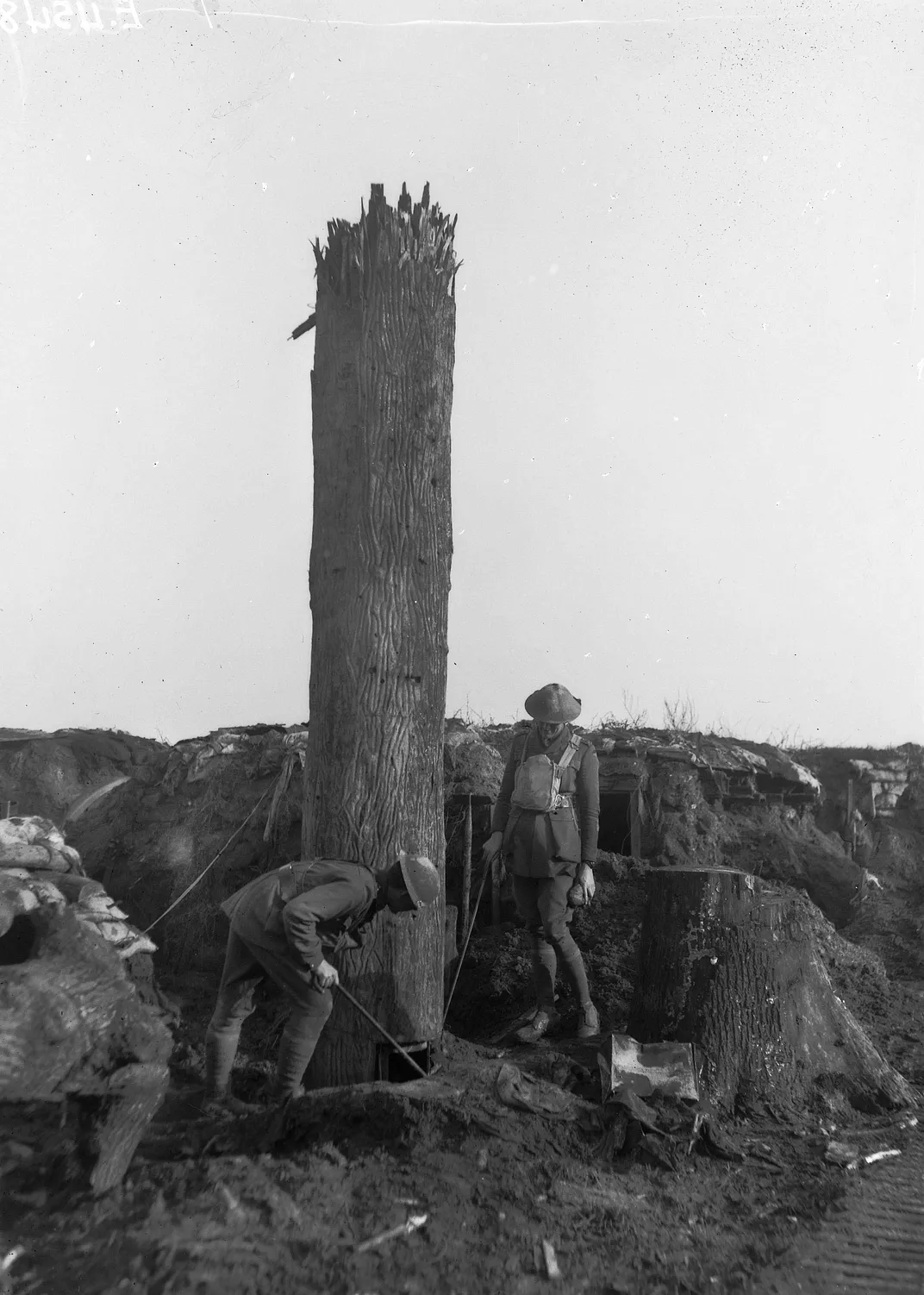 Fake Spy Trees Used in WWI
