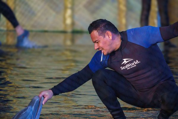 Between Breath and Water thumbnail