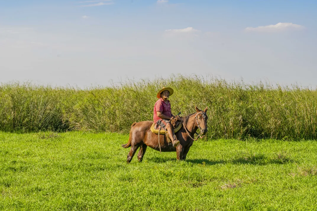 A man sits on a horse in a field of grass