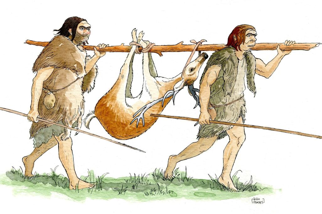 neanderthals using wooden objects