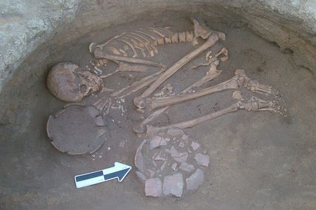 The skeleton of a young man, whose tooth plaque was used in the study. 