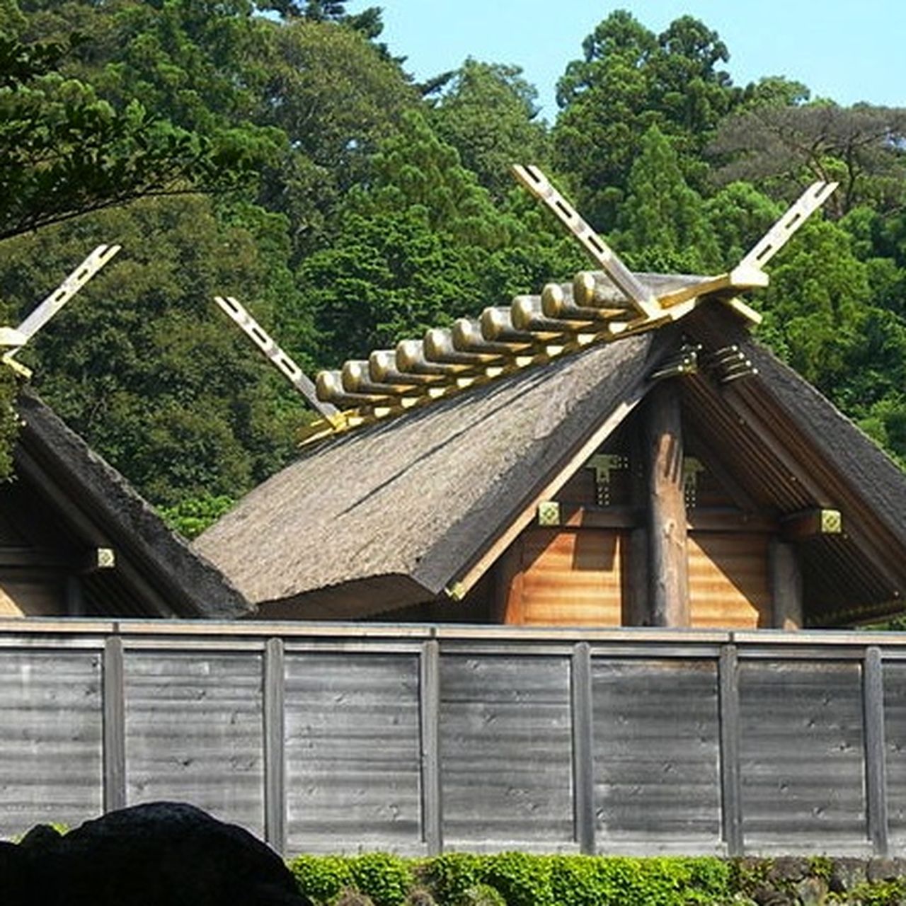 This Japanese Shrine Has Been Torn Down And Rebuilt Every 20