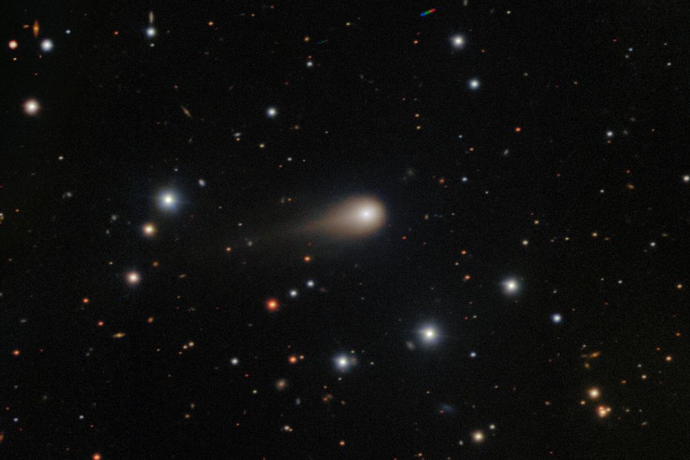 a deep field view of the sky, with a glowing comet with a small tail in the middle