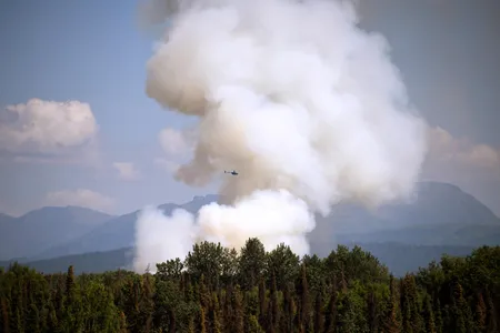 Smoke rises from a wildfire in the summer of 2019 near Talkeetna, Alaska. 