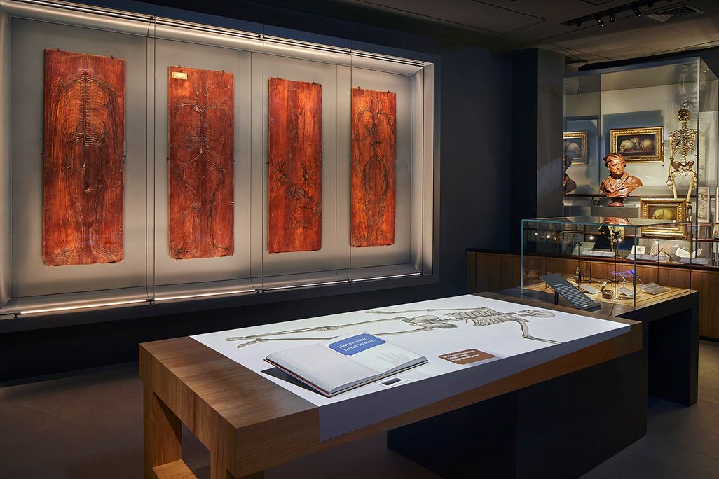Skin tables on view at the Hunterian