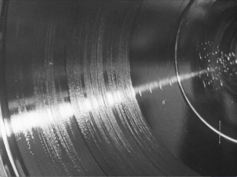A black and white detailed image of a record.