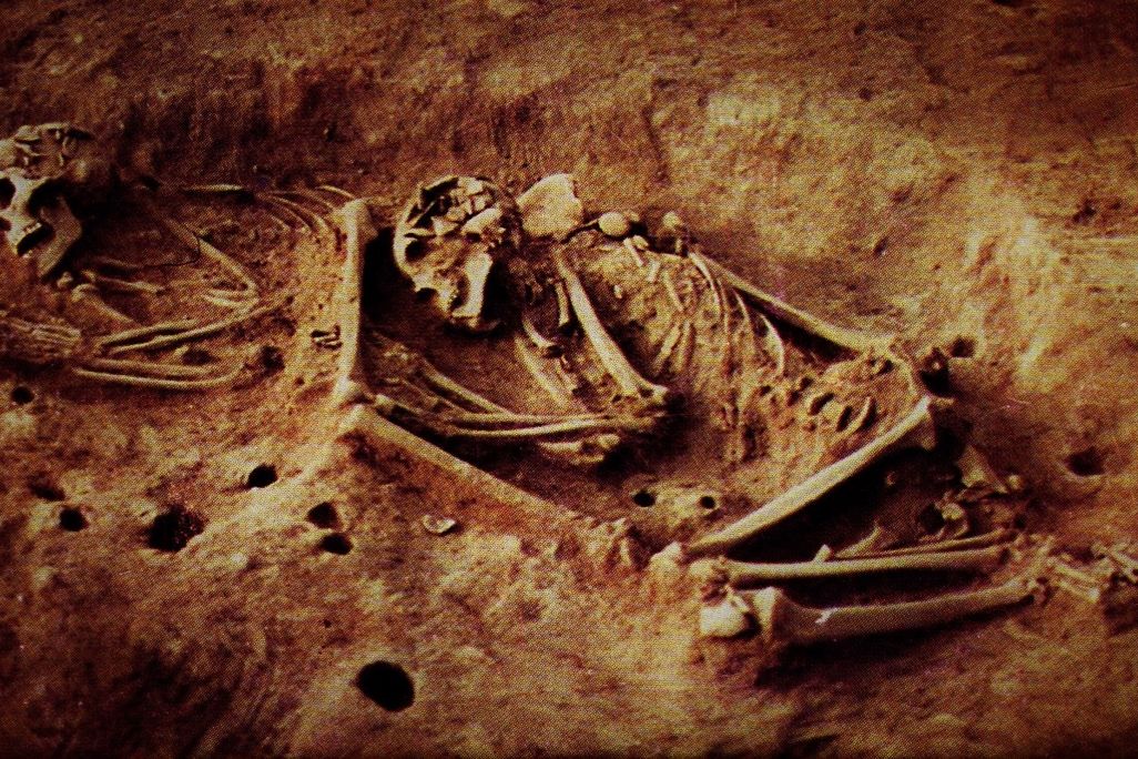 two skeletons in an excavation site in the ground