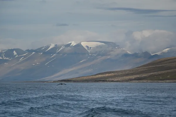 Svalbard Archipelago Arctic Vista thumbnail