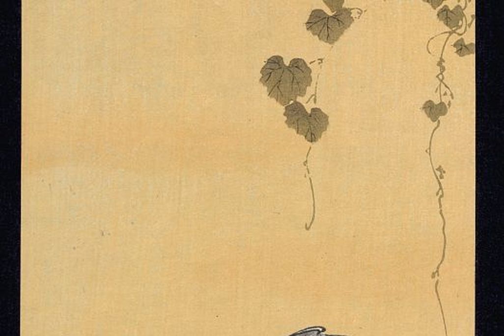 bird-grapes.jpg